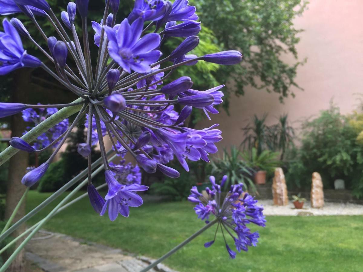 Pension Sonja Mueller Nohra  Εξωτερικό φωτογραφία